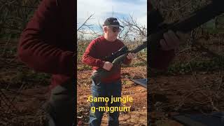 rifle gamo jungle g magnumvideo íntegro en el canal no te lo puedes perder👍 [upl. by Albertson]