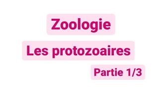 Zoologie L2  les protozoaires SNV [upl. by Langley]