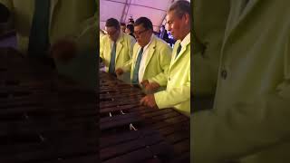 LA PULGA MIXQUEÑA 🚴 ensamble de 4 marimba s de mixco guatemala 724 José María Girón [upl. by Asiluj921]