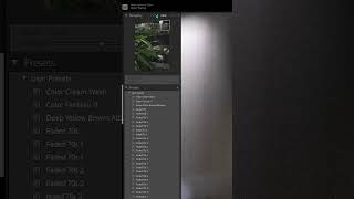 How to Zoom in Lightroom 4 Quick Methods [upl. by Sass416]