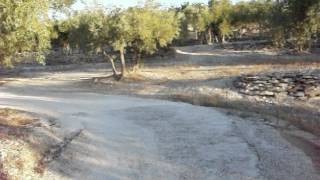 Homage to Dirk Bogarde in the olive groves of Provence [upl. by Ahtamat787]