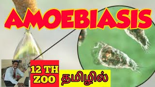 AMOEBIASIS  TAMIL  HUMAN HEALTH AND DISEASES  STD 12  TNSCERT [upl. by Eliott]