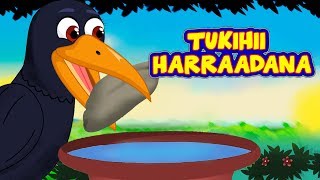 Tukihii Harraadana  SHEEKO CARUUREED  Somali Moral Story  Thirsty Crow Story af Somali [upl. by Curhan]