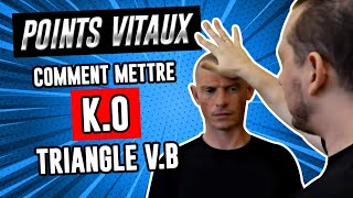 Comment faire un KO avec 4 POINTS DE PRESSION à la TÊTE Kyusho Jitsu [upl. by Airdnek464]