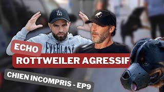 Sa tête a explosé en 1s  ROTTWEILER AGRESSIF  Chien incompris ep9 [upl. by Sutphin325]