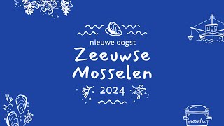 Nieuw seizoen Zeeuwse mosselen 2024 van start [upl. by Mcquillin]