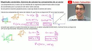 COMPONENTES VECTORIALES Ejercicio RESUELTO Calcular las componentes vectoriales de un VECTOR [upl. by Aneger]