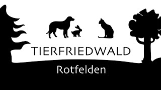 Tierfriedwald Rotfelden Nordschwarzwald  Tierfriedhof  Pet cemetery im Mai 2024 [upl. by Twelve]