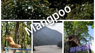 Travel to Mangpoo amp Cinchona trees visit  Way to Siliguri [upl. by Cousin423]