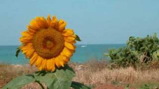 lucio battisti  girasole inedito [upl. by Waylen226]