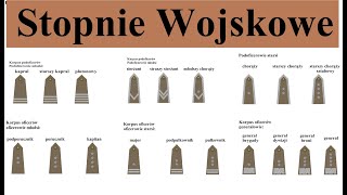 Stopnie wojskowe w Polsce  proste omówienie i opis [upl. by Som540]