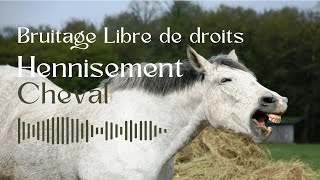 Hennissement du Cheval  Bruitage Libre de Droit [upl. by Bowden]