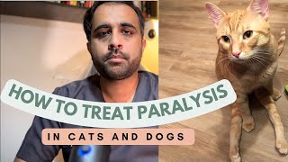 How ro treat paralysis in cats and dogs  Dr Furqan Arif  Aliyan Vets [upl. by Siulesoj417]