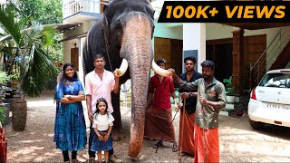 ഗജവീരൻ ശ്രീ അയ്യപ്പനെ പരിചയപ്പെടാം  Kerala Elephant Sree Ayyappan  Cheerulli Media [upl. by Llenrrad587]