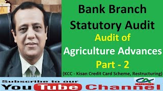 Audit of Agriculture Advances in Bank Branch Audit  Part 2  KCCKisan Credit Card  Restructuring [upl. by Latsirc]