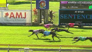 CapalabaSunday01092024Race5 [upl. by Carlile]