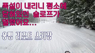 스키 폭설이 용평에 평소에 닫혀있던 코스가 폭설로 열렸어요 아주 잼나요  용평리조트 옐로우슬로프 핑크슬로프 자연설펀파크 [upl. by Aika]