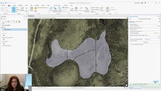 How to Create Random Points in ArcGIS Pro [upl. by Rubbico]