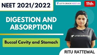 Digestion And Absorption  Buccal Cavity and Stomach  Class 11th  NEET Biology  NEET 20212022 [upl. by Reivad755]