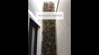 MUR VEGETAL EXTERIEUR 5M2 [upl. by Lrem188]