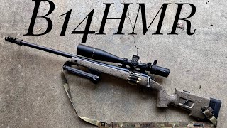 THE BERGARA B14 HMRTHE BEGINNERS PRECISION RIFLE  65 CreedMoore [upl. by Alleul]