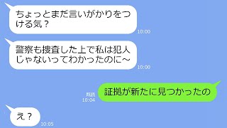 【LINE】私が経営するカフェに泥棒に入ってすっとぼけるママ友「証拠もないのにいい加減にして」→アフォ女の嘘を盛大に暴いてやった結果ｗ【総集編】 [upl. by Eruza834]