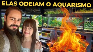 🔴AS ESPOSAS ODEIAM AQUÁRIOS Mr Betta [upl. by Aisatsan316]