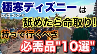 解説20232024冬ディズニーは舐めたら終わる忘れたら困る必需品10選！ [upl. by Are]