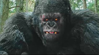 小孩被野狼追杀，竟被金刚救下！【金刚归来 KingKong is Coming Back】驚悚 災難 【電影派對】 [upl. by Niatsirk]