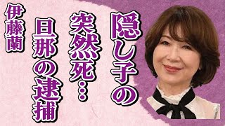 伊藤蘭の隠し子の“突然の死”…夫・水谷豊の“逮捕”で明るみになる“仮面夫婦”の事態に言葉を失う…「キャンディーズ」として活躍した女優の略奪婚の真相に驚きを隠せない… [upl. by Okramed]