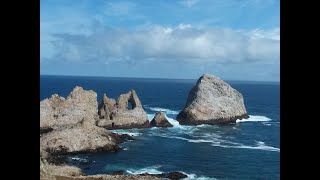 Farallon Islands Adventure walking tour [upl. by Novyar]