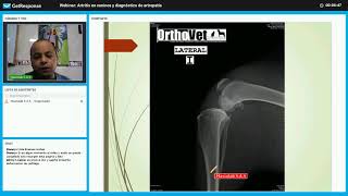 Grabación de webinar — Artritis en caninos y diagnóstico de artropatía — Mascolab amp Orthovet [upl. by Miles750]