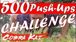 Cobra Kai 500 PushUps Challenge [upl. by Akir]