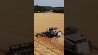 Gleaner S77 Wheat harvest 2024 [upl. by Melli]