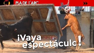 TOROS QUE SALTAN TODO LO QUE SE LES PONE POR DELANTE  PLA DEL ARC 20072018  GERMÁN VIDAL [upl. by Lamarre832]