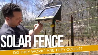 Deer PROOF Your Apple Trees with a Solar Electric Fence for off grid properties [upl. by Asertal]