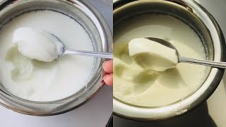 CurdYoghurt Perfect Recipe കട്ട തൈര് ഉണ്ടാക്കാം  Tips amp Tricks Hi Kitchen recipes in Malayalam [upl. by Akihsat853]