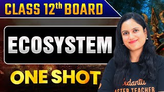 Ecosystem Class 12  Biology One Shot  Amrita Maam [upl. by Ohs]