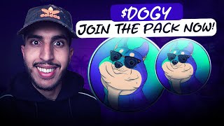 🔥 THE DOG MEMECOIN THATS GOING TO MOON 🔥 DOGY 🔥 JOIN THE PACK NOW [upl. by Avitzur]