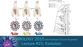 Virology 2015 Lecture 21 Evolution [upl. by Urd]