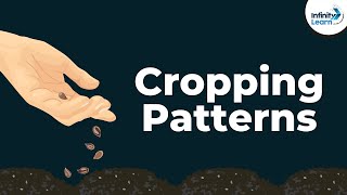 What are the Cropping Patterns  Dont Memorise [upl. by Tolkan573]