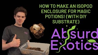 How to make your own isopod enclosure for Magic Potions With homemade isopod substrate [upl. by Orland]