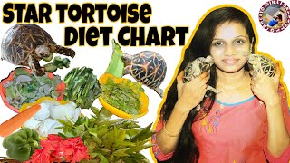 Tortoise detailed diet List  How much to feed tortoise daily  Tortoise daily Care [upl. by Risser675]