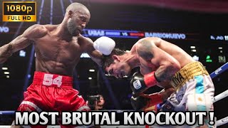 Yordenis Ugas vs Cesar Barrionuevo Full Highlights  Knockout  Best Boxing Moment 2024 [upl. by Anomas260]