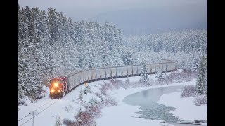 Relaxing Train Sounds and Blizzard Howling [upl. by Broucek235]