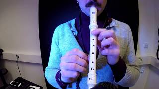 How to play Titanic on flute  recorder [upl. by Connelly]