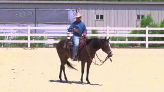 Pushing a horse through a problem [upl. by Siloam]