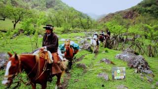 Cabalgata Las Queñuas  Programa Tucumán 200 Años de Historia [upl. by Shama313]