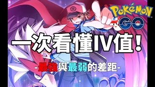 【Pokemon GO】一次看懂IV值！最強與最弱的差距？ ➤精靈寶可夢GO 11 [upl. by Gruber732]