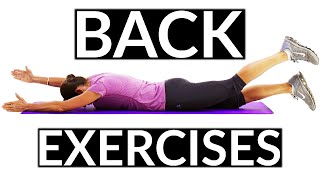 Beginners Back Exercises that Strengthen your Back [upl. by Newg]